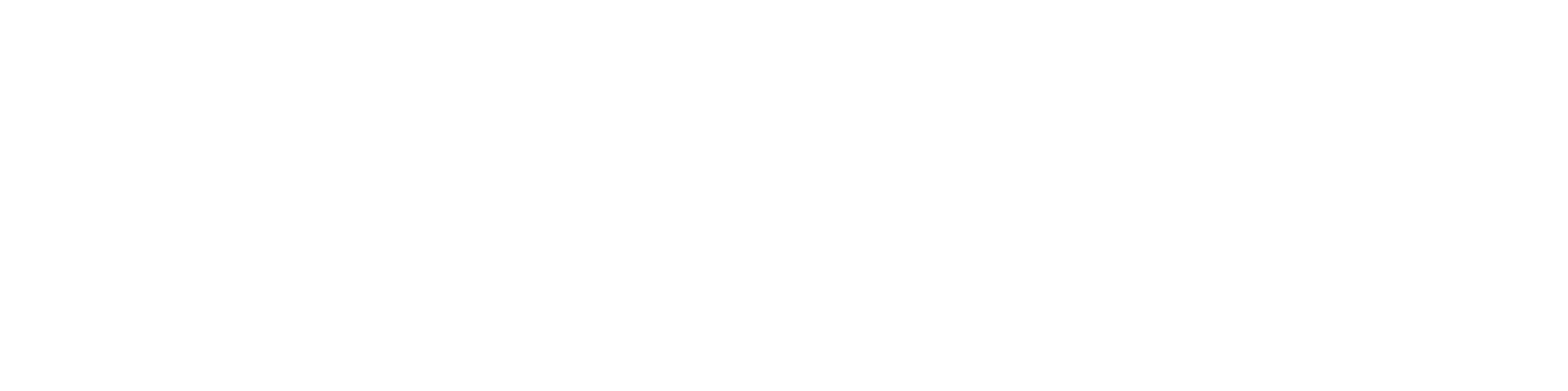 비즈인사이트